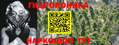 стафф Бузулук