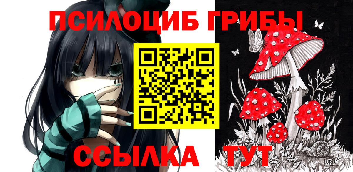 Галлюциногенные грибы GOLDEN TEACHER  Галлюциногенные грибы GOLDEN TEACHER  Вход с VPN  Реутов 